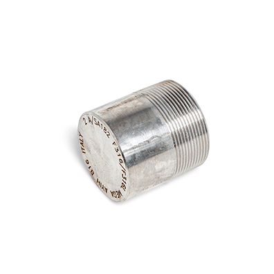 R. HEAD PLUG NPT A/SA182 F316/L 2 – MEGA SPA SHOP